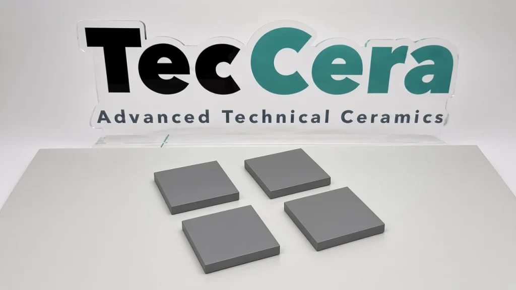 Silicon Carbide Ceramic Plate